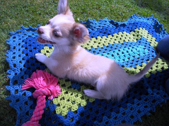 Plaid granny pour Ramon