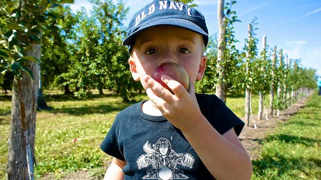 anteketborka.blogspot.com, pomme555