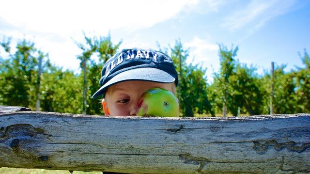 anteketborka.blogspot.com, pomme777