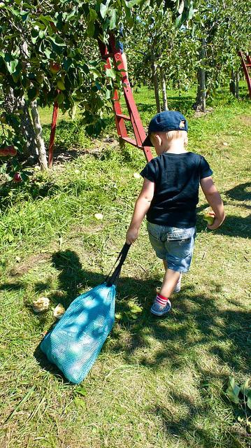 anteketborka.blogspot.com, pomme112