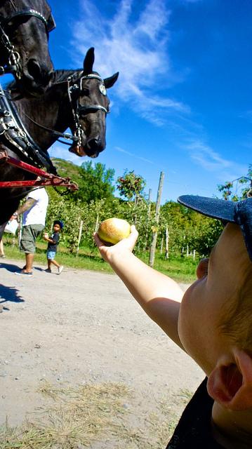 anteketborka.blogspot.com, pomme222