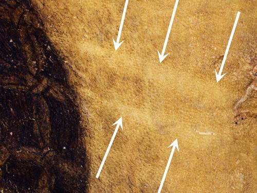 Editions Télémaque