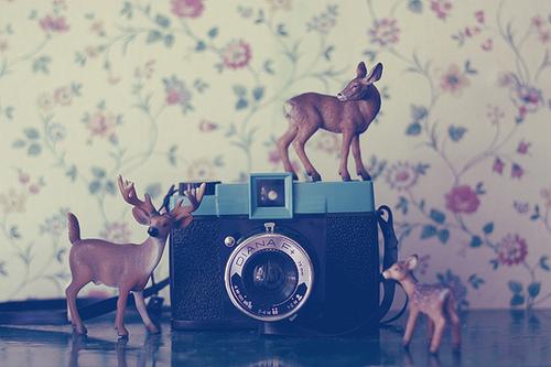 Lomography-diana-f_large