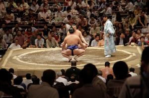 Le sumo (ou quand Zahia habille Massimo Gargia)