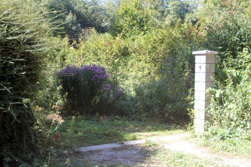 1 romilly 8 sept 2012 002.jpg