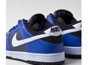 Nike Dunk Royal Blue