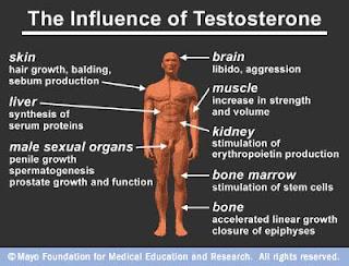 Booster sa testostérone