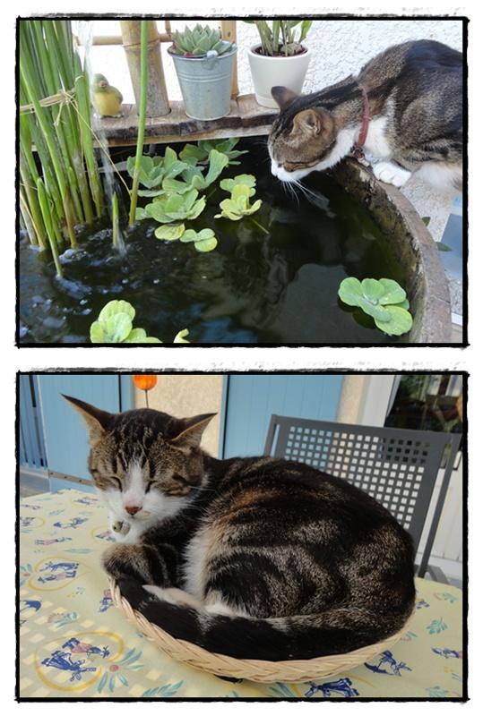 Week-end bien occupé, 8 et 9 septembre 2012