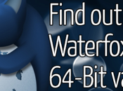 Waterfox, Firefox 64-bits version