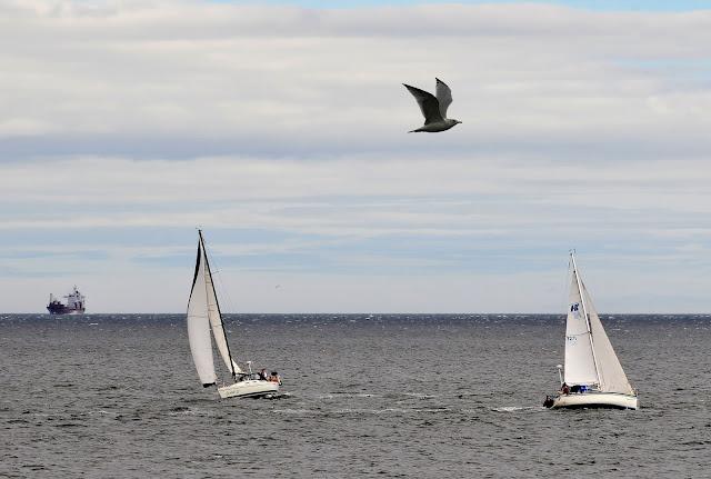 Régate à Baie-Comeau...