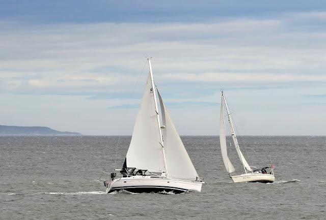 Régate à Baie-Comeau...