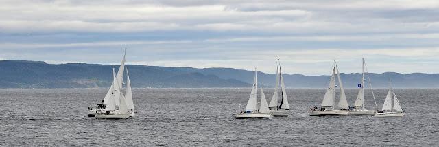 Régate à Baie-Comeau...