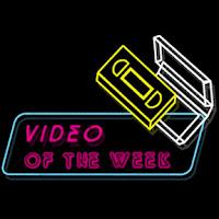 Van She, Jamaica (Modular Studio Sessions)