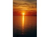 Daily Post Weekly Photo Challenge Near