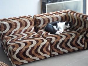 Un petit canapé 2 places rétro - sans le chat 