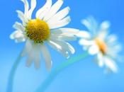 Windows Store s’ouvre plus développeurs