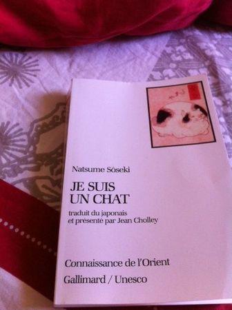 Je_suis_un_chat