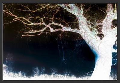 Astuce : créer un négatif (ou positif) en post-traitement