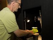 lumière service votre assiette