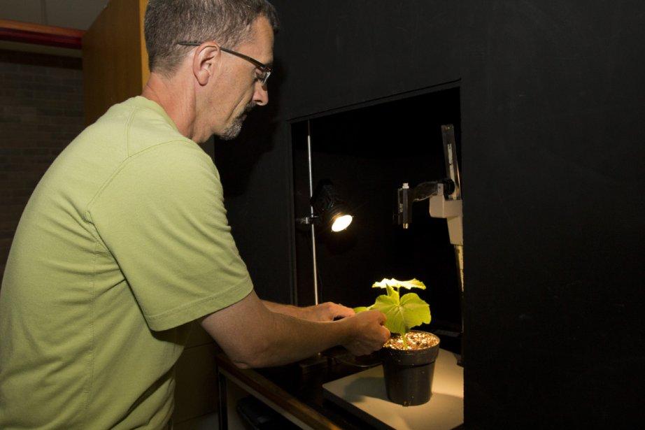 La lumière au service de votre assiette