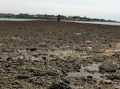 Réchauffement climatique entreprises sont inquiètes mais font rien