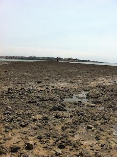 Réchauffement climatique : les entreprises sont inquiètes mais ne font rien