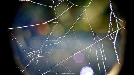 Macro Folie #9 anteketborka.blogspot.com, toile6