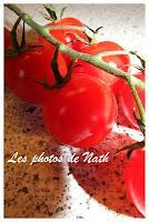 Macro Folie #9 Macro Folie #9