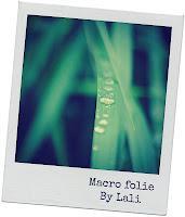 Macro Folie #9 Macro Folie #9