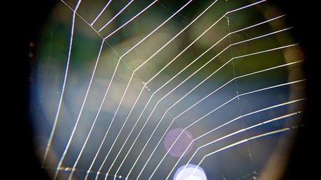 Macro Folie #9 anteketborka.blogspot.com, toile3