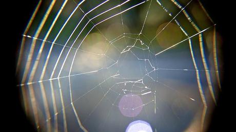 Macro Folie #9 anteketborka.blogspot.com, toile