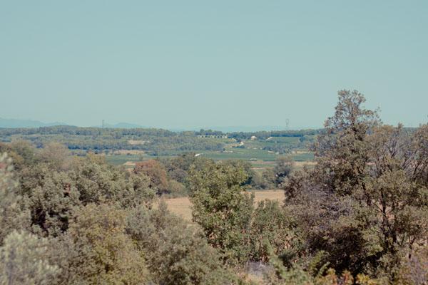IMG 81661 Le Gard #3 : Léglise Saint André à Souvignargues