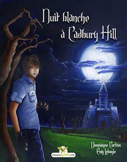 Engouement des lecteurs Britanniques pour mon roman !