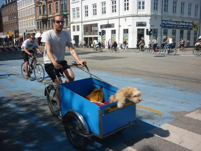 I ♥ Copenhague / Episode 1 - Le vélo
