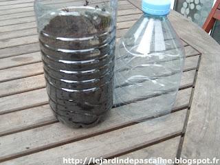 Combien de temps étouffer une bouture ?