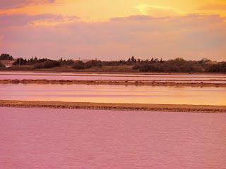 Les salins