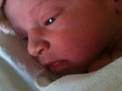 DALTON BUJOLD nouvelle étoile née...