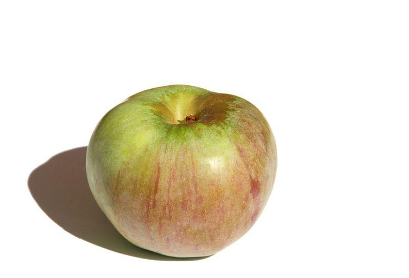 Pomme ontario apple