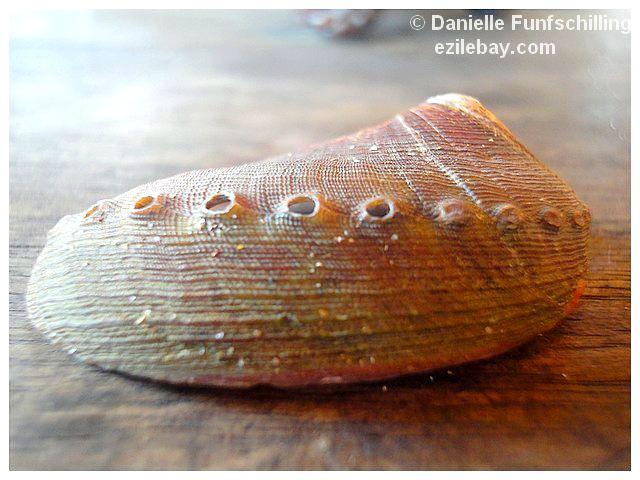 Ezile bay, des petits bonheurs...
