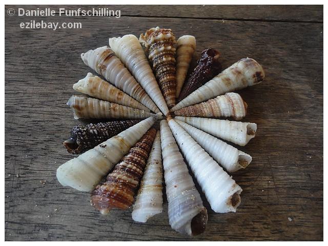 Ezile bay, des petits bonheurs...