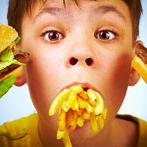 Le gras modifie le cerveau