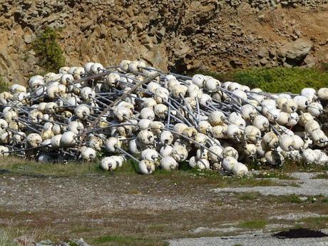 sous les galets, la mer