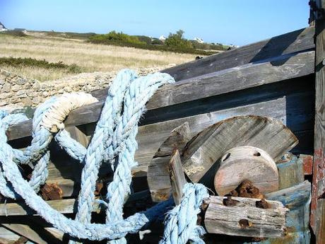 sous les galets, la mer