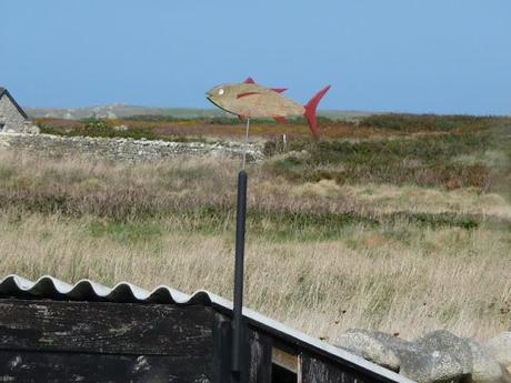 sous les galets, la mer