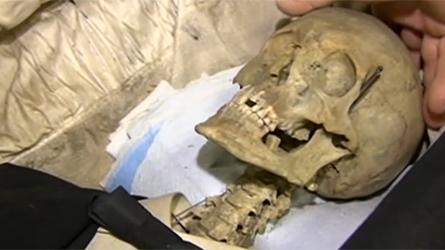 Des squelettes vendus aux enchères