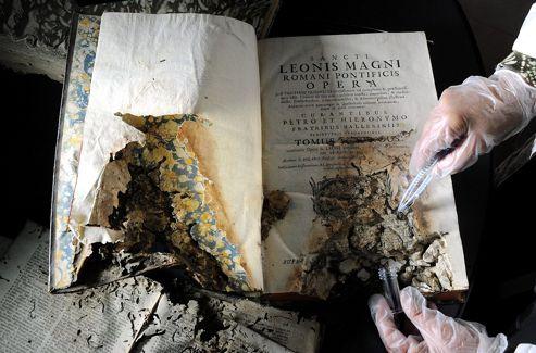 Livre rongé par les termites.