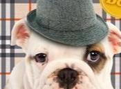 cartes d’anniversaire Deviller Labat