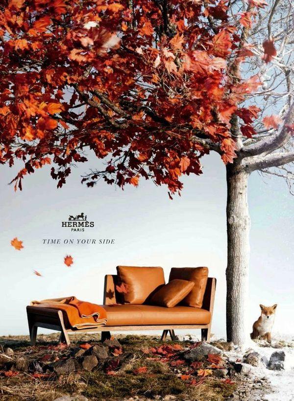 La campagne de publicité Automne/Hiver 2012-2013 : Hermès.