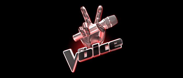 the-voice-une-candidate-reprend-toxic-de-britney