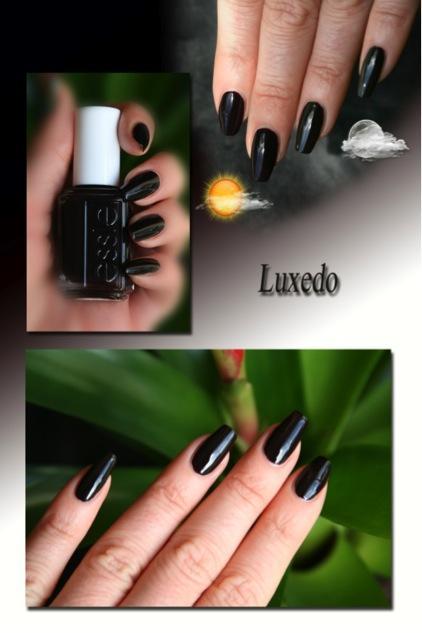 J'ai testé pour vous : Winter Collection de Essie